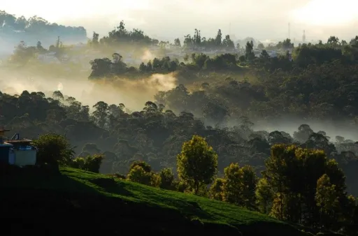 image for article 10 Places to See in Coonoor for an Unforgettable Trip!