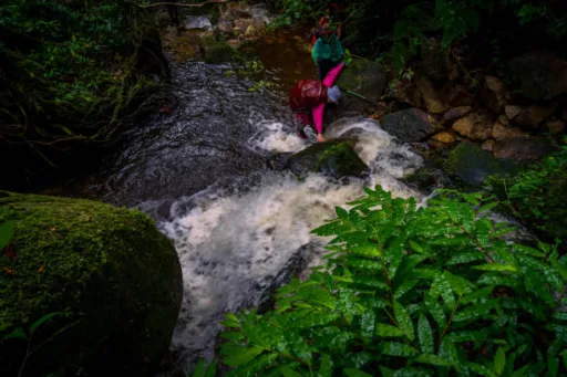 image for article 10 Monsoon Adventure Safety Tips You Must Follow!