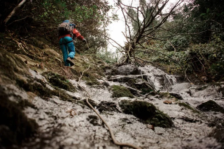 Exploring nature during Monsoon season