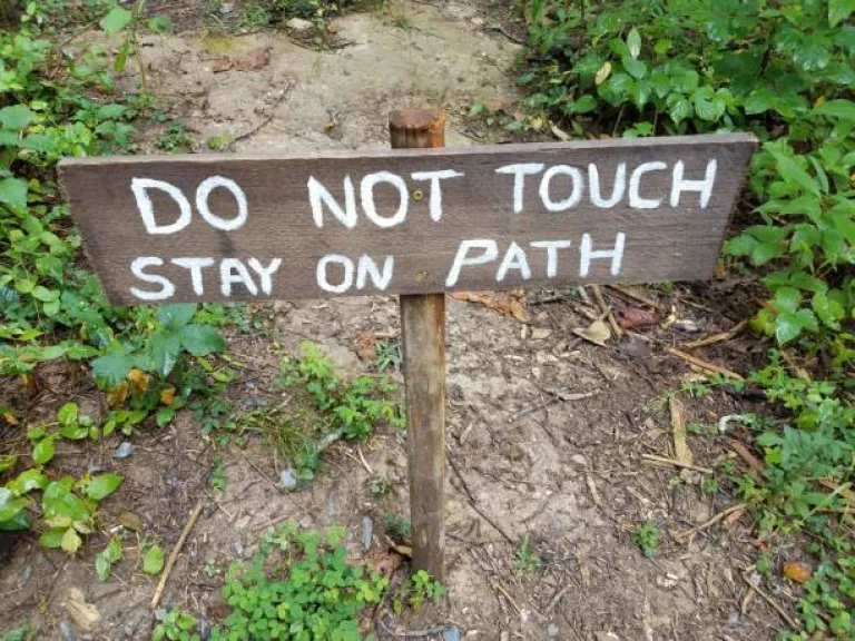 Stay on Designated Trails
