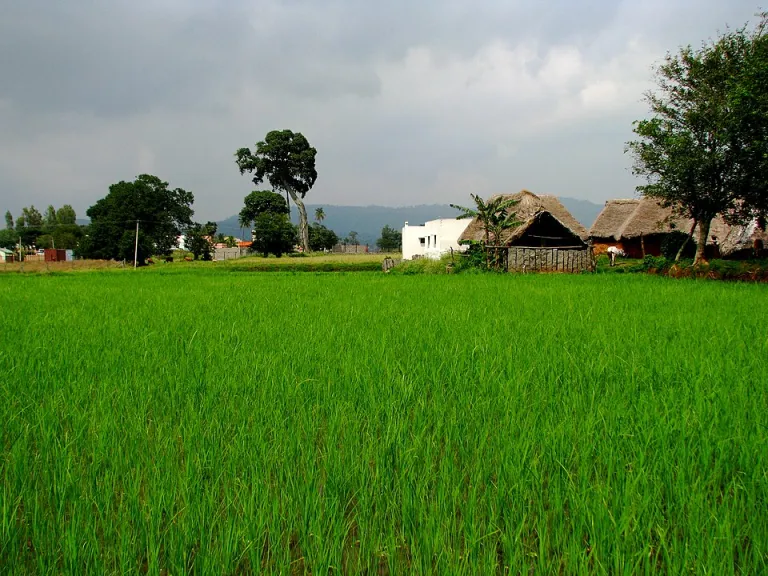 Yelagiri Tamil Nadu