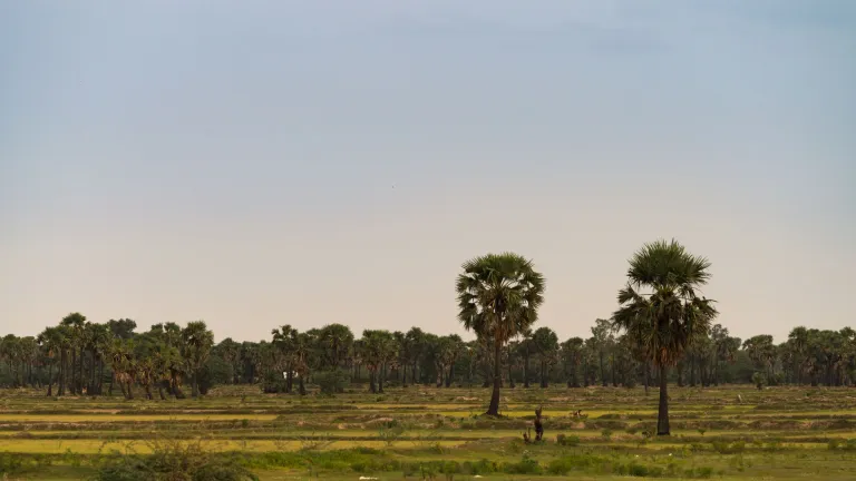 Pulicat, Tamil Nadu