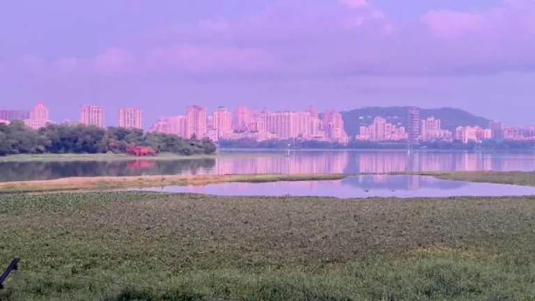  Powai Lake