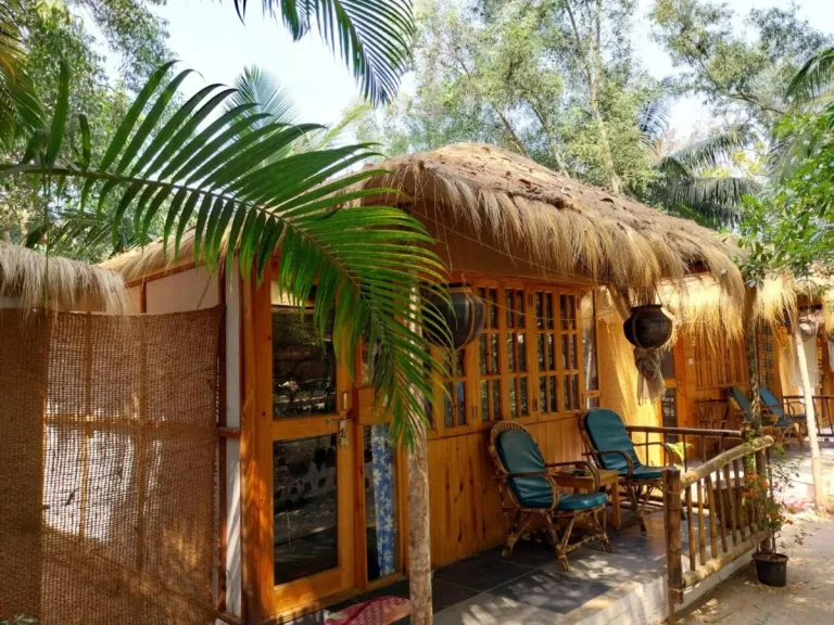 Yoga Culture Eco Resort Palolem Goa