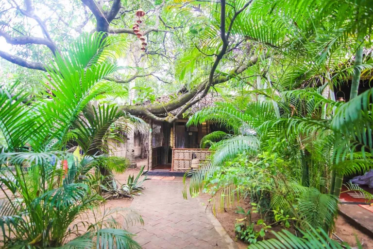 Palm Trees Ayurvedic Heritage Goa