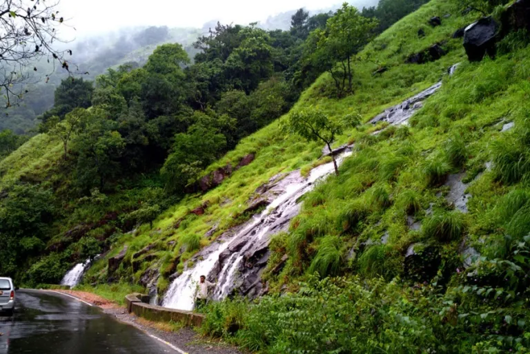 Chikmagalur in Monsoon