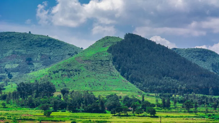 Araku Valley