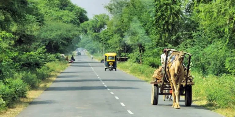 Road trip to Udaipur from Jaipur