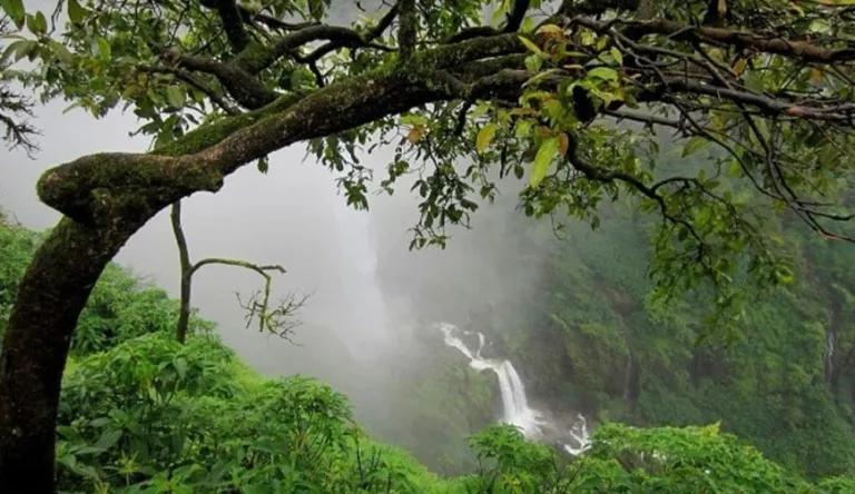 Kanakeshwar Forest 