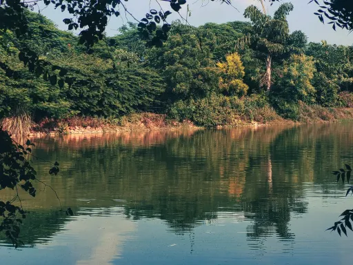 image for article City Forest, Ghaziabad: Everything you Need to Know Before the Visit