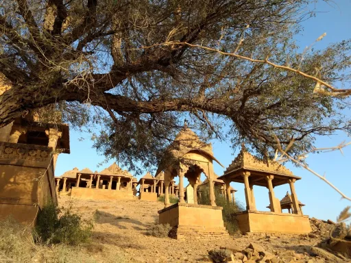 image for article Bada Bagh, Jaisalmer: Everything you Need to Know Before Visiting!