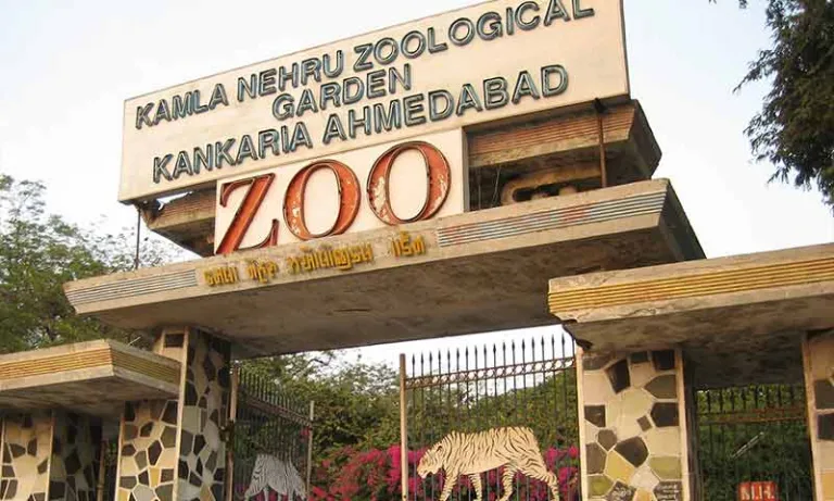 Kankaria Zoo
