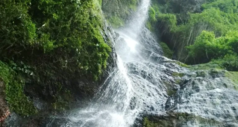 Chadwick Falls, Shimla