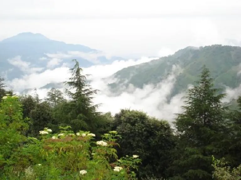 Chail, Himachal Pradesh