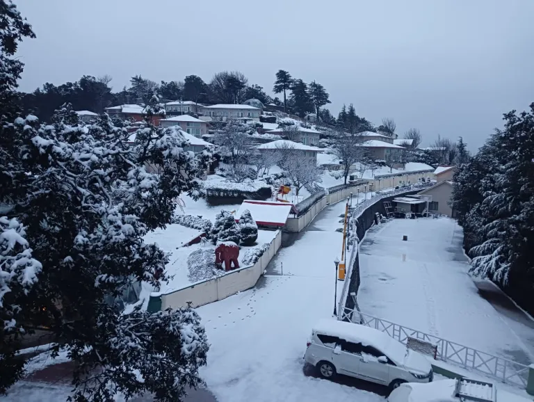 Chail, Himachal Pradesh