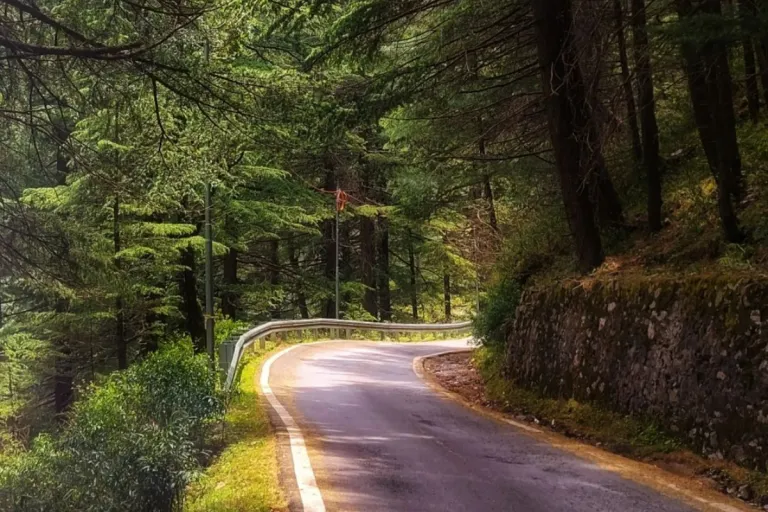 Chakrata-Mussoorie Road