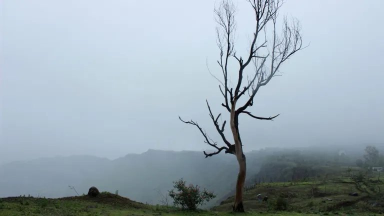 Kaas Plateau