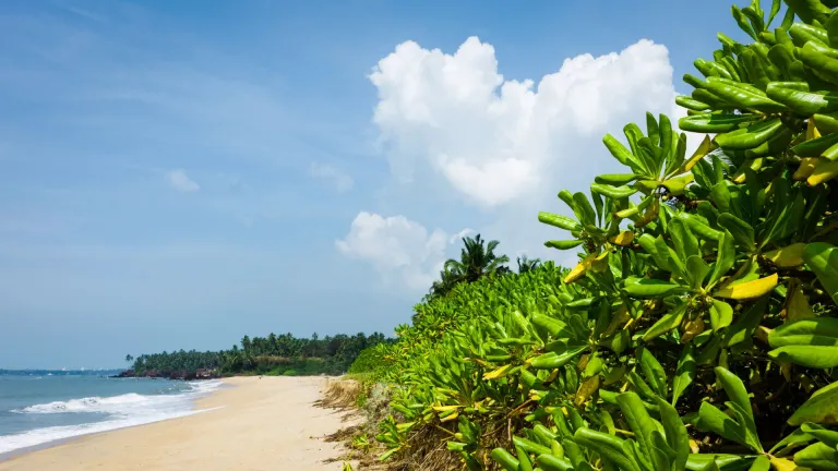 Thottada Beach, Kannur, Kerala