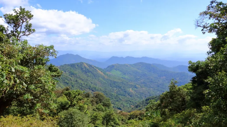 Paithalmala Kannur