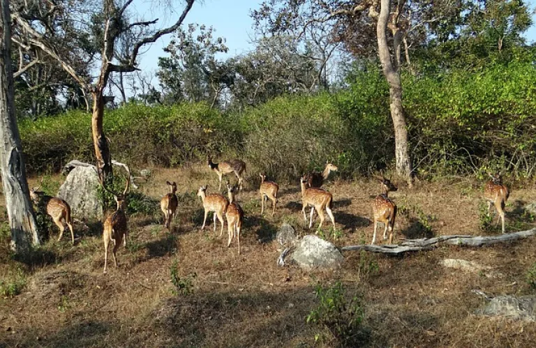 Katepurna Wildlife Sanctuary