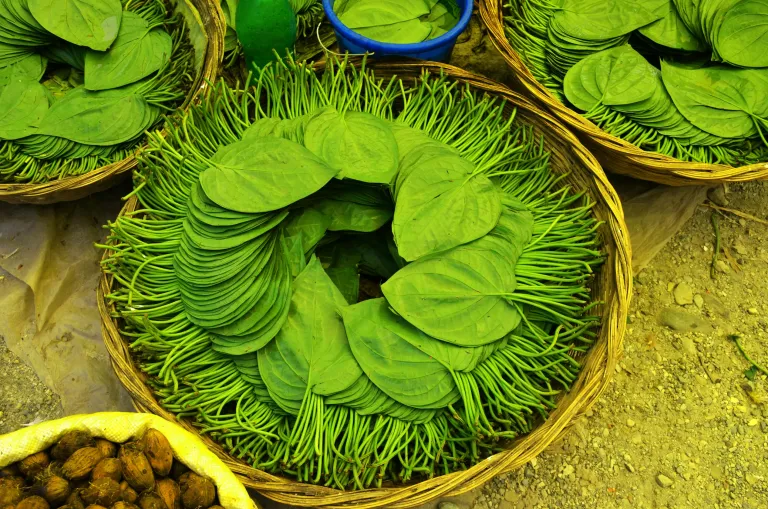 Mysore Betel Leaves