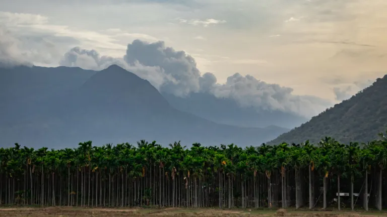 Coimbatore, Tamil Nadu