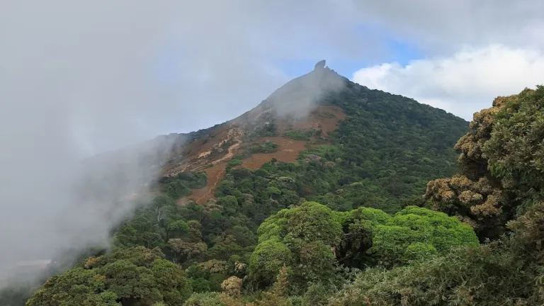 Velliangiri Hills Coimbatore