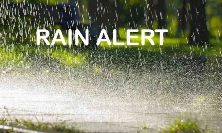 Rain Alert