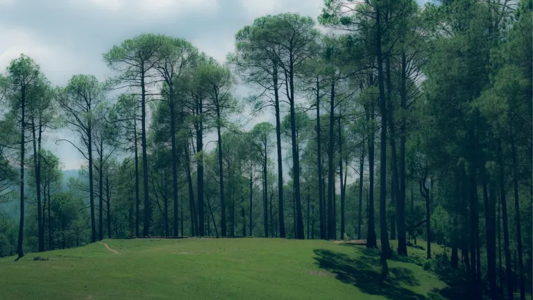 Ranikhet, Uttarakhand