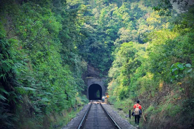 The Green Route Railway Trek Sakleshpur