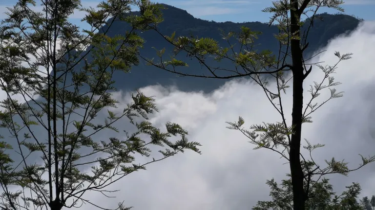 Coonoor 