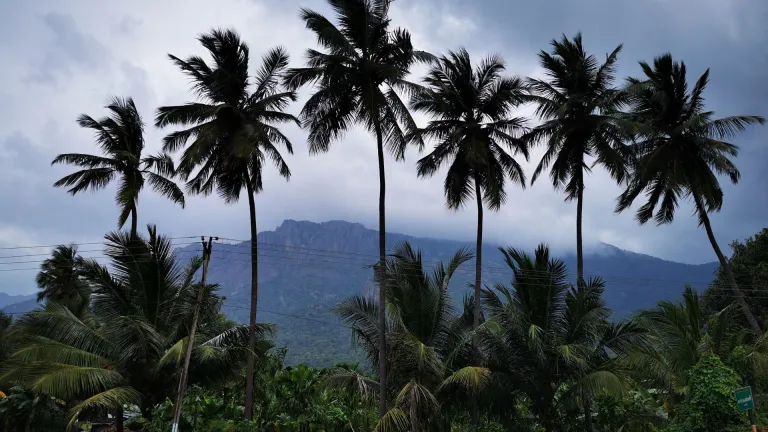 Kolli Hills