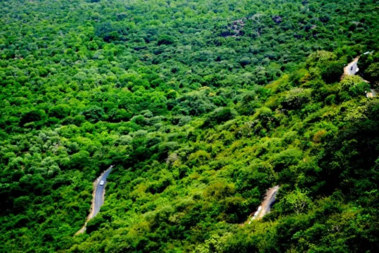 Sirumalai Hills Tamil nadu