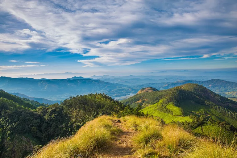 Kolukkumalai