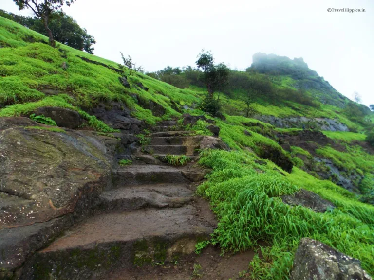 Rajmachi Trek