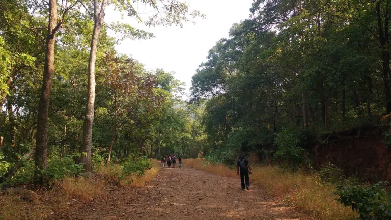 Tungareshwar Trek