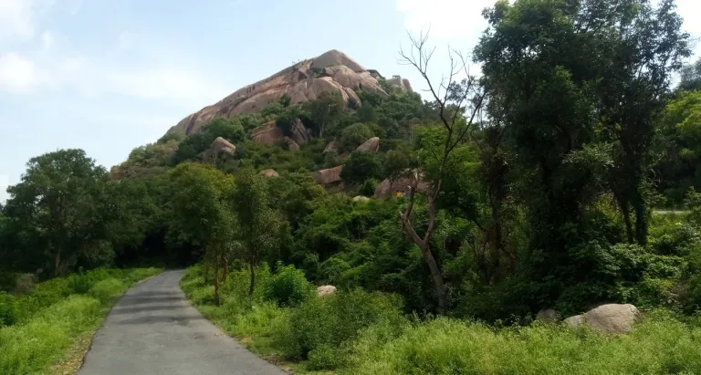 Devarayanadurga trek