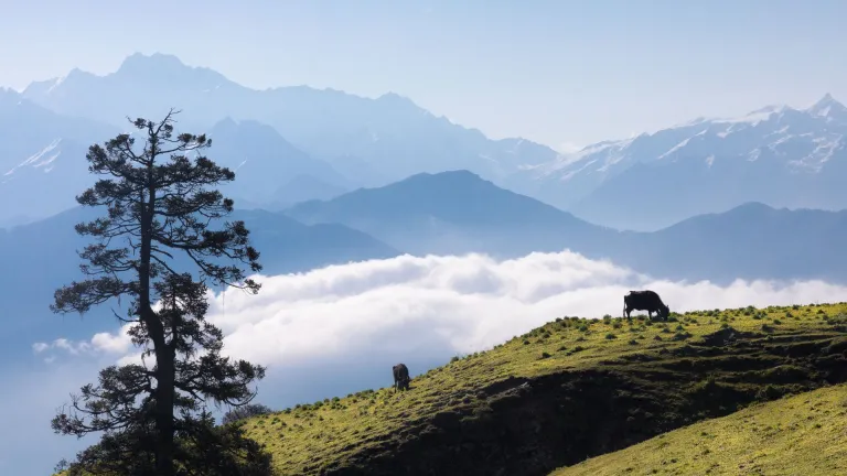 Dayara Bugyal Uttarakhand 