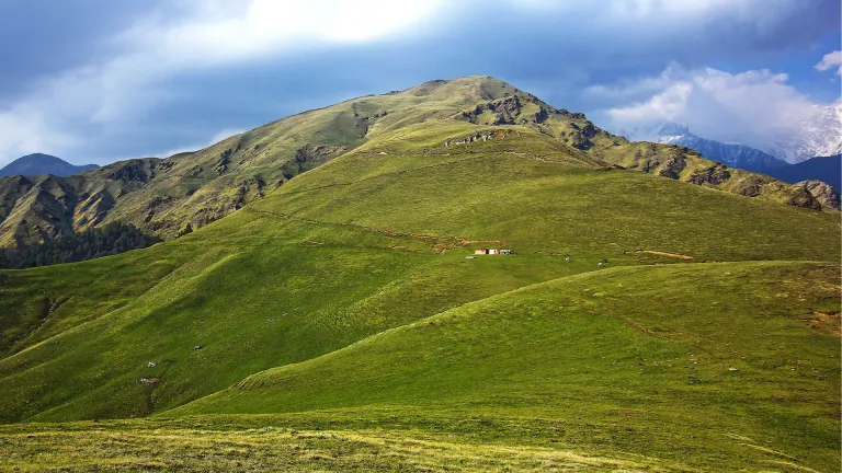 Ali Bedni Bugyal