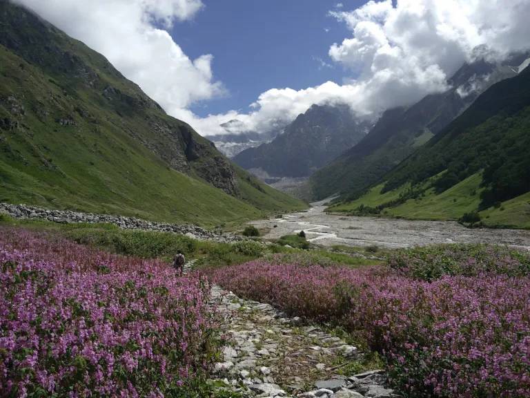 Valley of Flowers Uttarakhand 