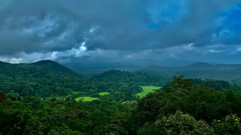 Coorg