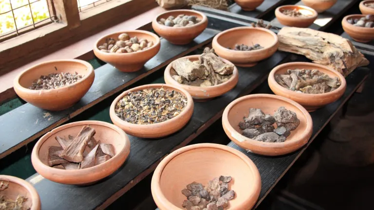 Spices
