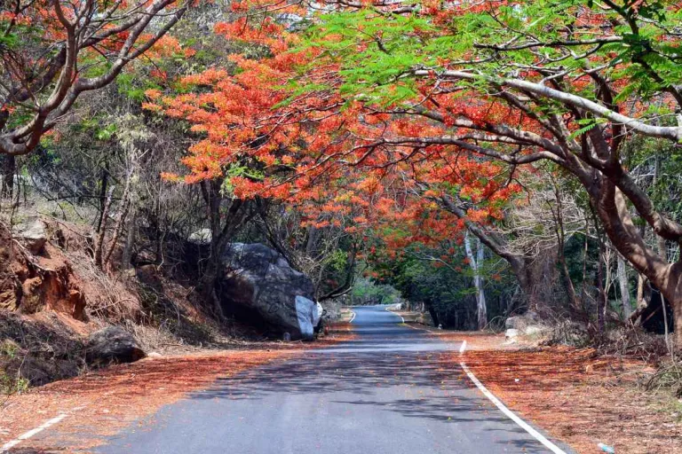 A drive to remember at Horsley Hills