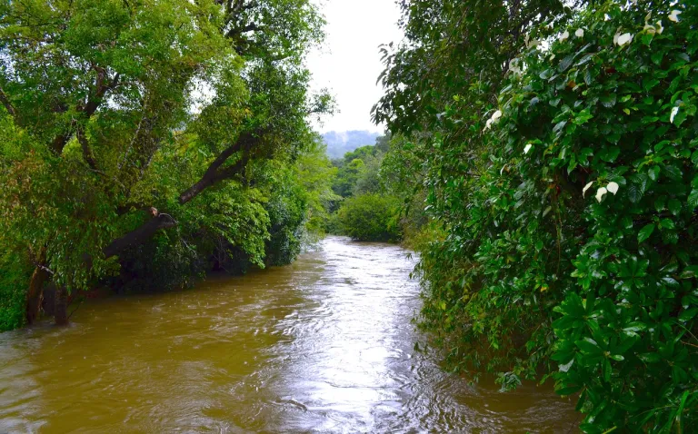 Coorg Post-Monsoon