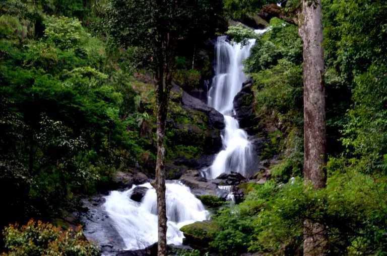 Coorg in Summer