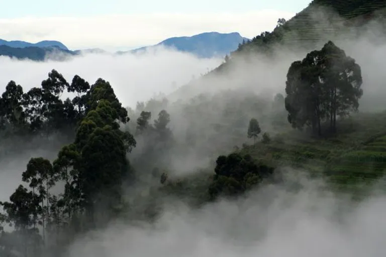 Tamil Nadu in Winter