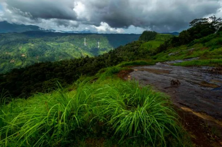 Tamil Nadu in Monsoon