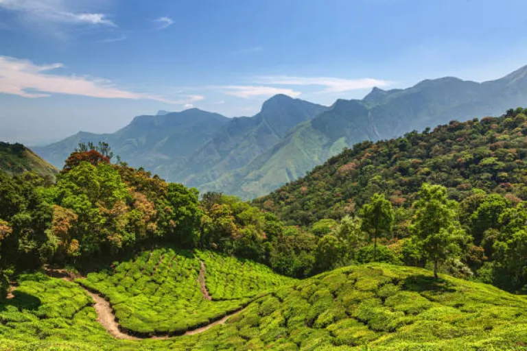 Western Ghats in Full Glory