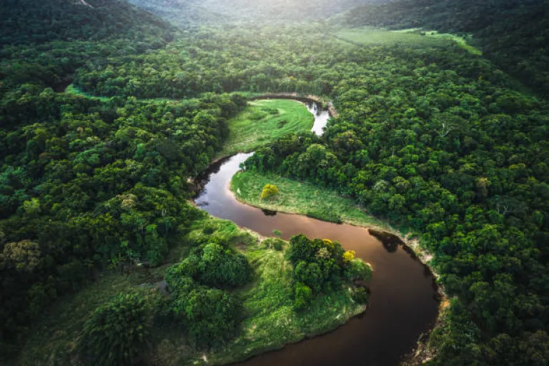 Amazon Rainforest, Brazil