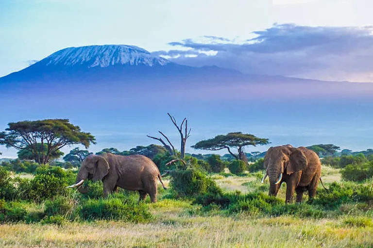 Mount Kilimanjaro, Tanzania